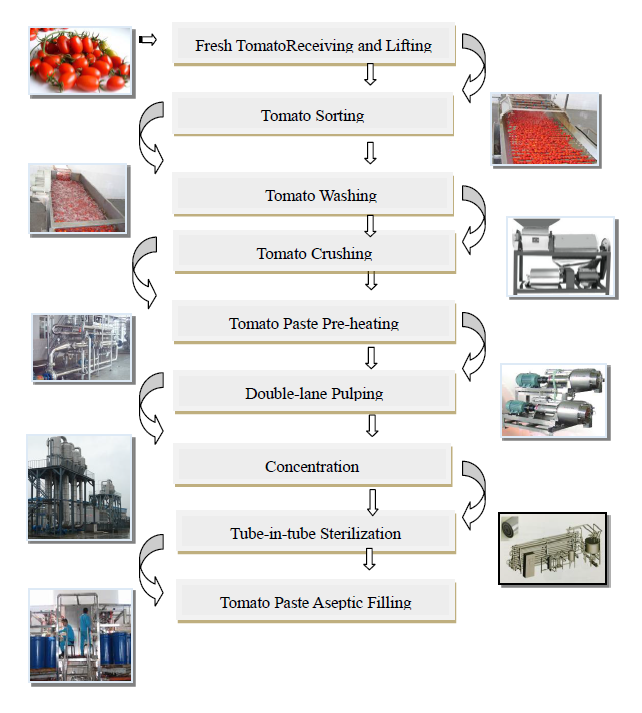 Steriliserende de Tomatenpureeproductielijn van UHT voor Apple-Jam/het Deeg van de Sheaboom Boter/Spaanse peper