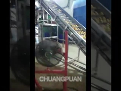 Hoe wordt mango pulp geproduceerd?