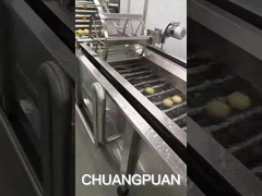 Hoe wordt kokoswater geproduceerd?Laten we de kokosfabriek zien werken