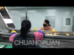 Hoe wordt vruchtensap in de fabriek geproduceerd?Laten we de perensapverwerkingslijn zien werken