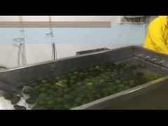 Hoe verwerk je HPP of afkoelen avocado pulp?