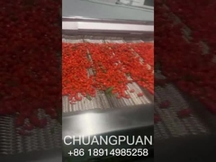 Weet je hoe zeedorn sap wordt geproduceerd?